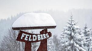 Der Feldberg im Schwarzwald.