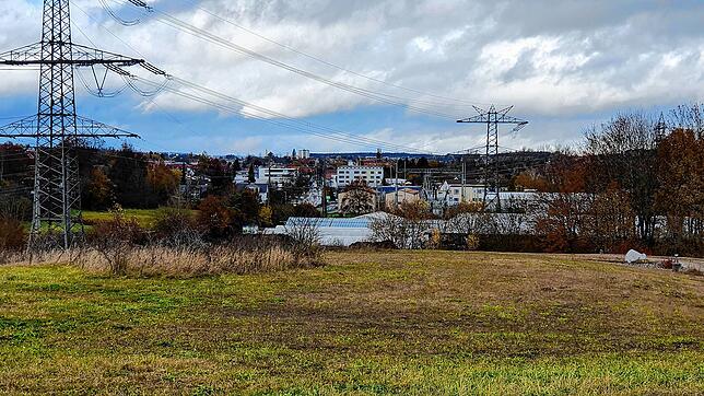 Hier auf dem Hügel der ehemaligen Deponie &bdquo;Obere Wiese&ldquo; will die Stadtverwaltung eine Photovoltaikanlage errichten und diese ...