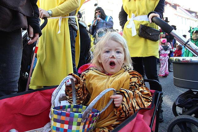 Bild 42: Kindergartenumzug: "1000 Kinder ziehen auf die Hofstatt"