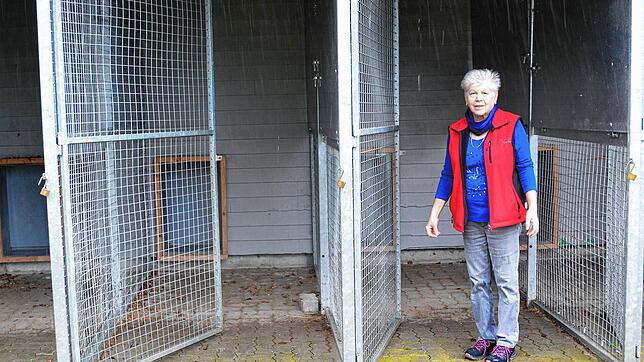 Monika Ciulla vom Tierschutzverein Waldshut-Tiengen zeigt die leeren Hundeboxen im Tierheim Steinatal. Momentan werden nur Katzen und ...