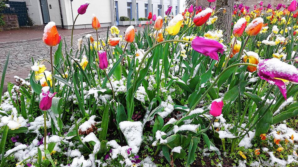 Erst kam der Frühling und dann der Schnee, wie hier in Villingen am Sonntag.