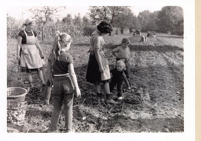 Vier Generationen auf dem Feld: Agnes Thomann, Helena Joos (geborene Thomann), Cousine Irma Kessler mit Tochter Heidi und Thomas ...