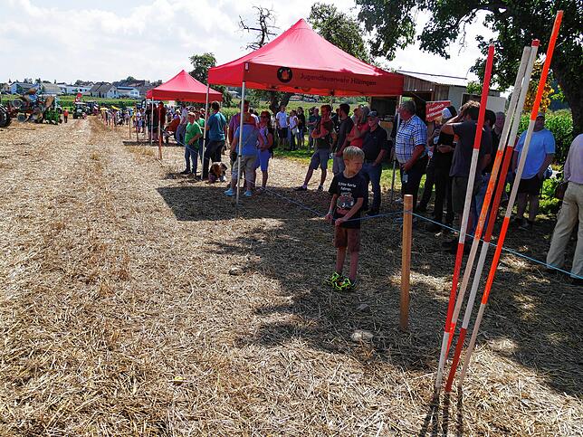 Bild 15: So schön war es auf dem Scheunenfest in Schlatt am Randen