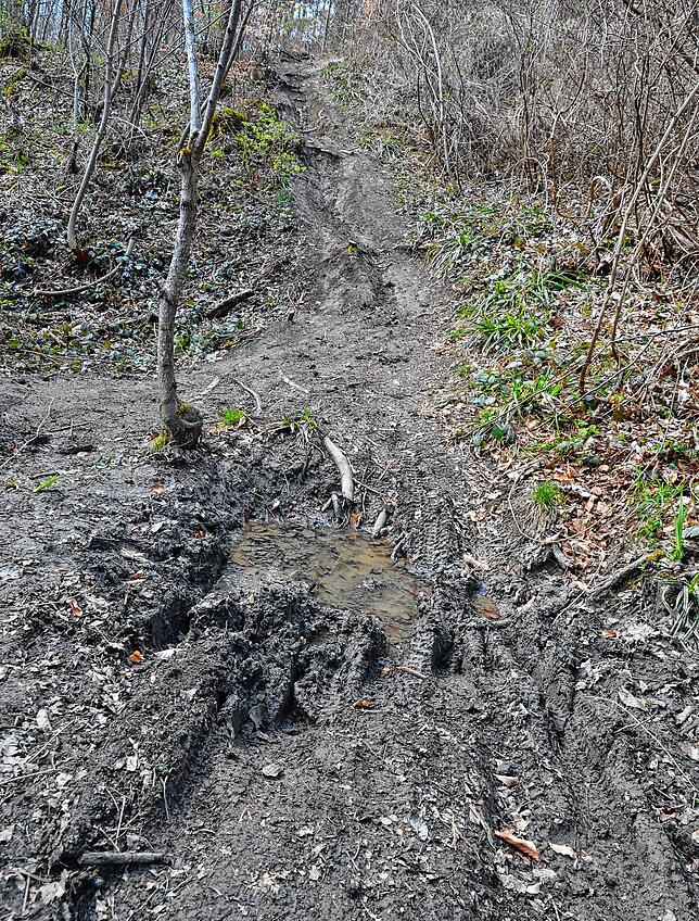 Links und rechts des Trails entwickeln sich jedoch illegal befahrene Wegstrecken – und richten Schaden in der Natur an.