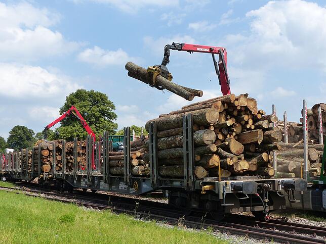 Die Chancen stehen gut, dass in absehbarer Zeit der Abtransport des massenhaft anfallenden Borkenkäfer-Holzes auf der Wutachtalbahn ...