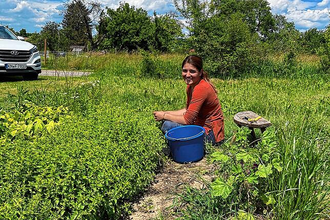 Julia Jäger auf den Feldern von Herba Solaris in Mahlspüren im Hegau.