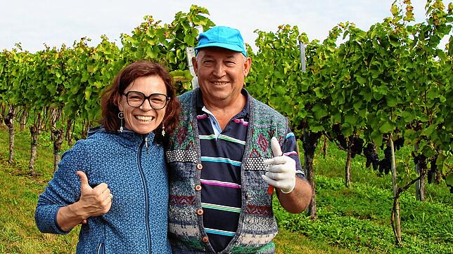 Sie sind guter Dinge &ndash; Corina Keller und ihr Mitarbeiter Sigmund Csaba bei der Weinlese in Erzingen.