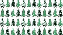 Schnee oder nicht. Dass Weihnachten früher häufiger weiß war, ist das Bauchgefühl vieler Menschen.