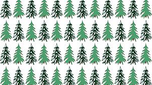 Schnee oder nicht. Dass Weihnachten früher häufiger weiß war, ist das Bauchgefühl vieler Menschen.