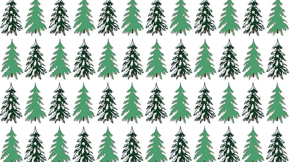 Schnee oder nicht. Dass Weihnachten früher häufiger weiß war, ist das Bauchgefühl vieler Menschen.