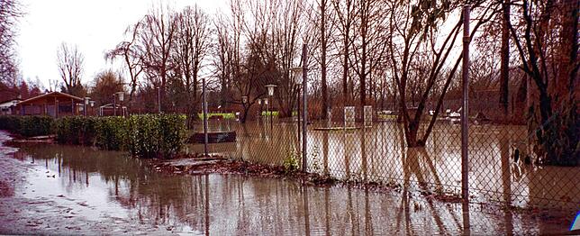 Immer wieder wird – wie hier im Mai 1999 – die Anlage der Minigolffreunde Waldshut am Rheinufer bei Hochwasser überflutet.
