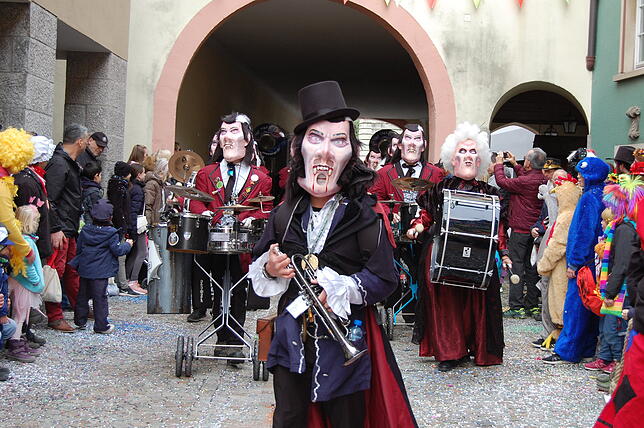 Bild 11: Bilder vom Fasnachtsumzug in Laufenburg (2)