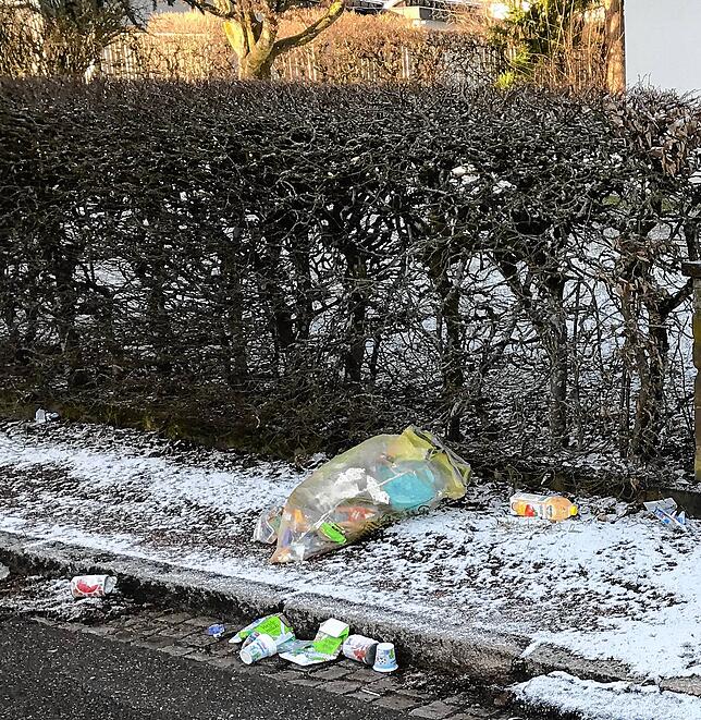 Wetterbeständigkeit ist ein Vorteil der Gelben Tonne gegenüber dem Sack. Damit könnte zerstreuter Müll auf der Straße vermieden werden.
