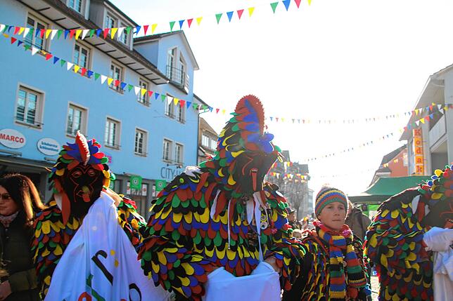 Bild 13: Fasnachts-Auswerfen und Narrenbaumstellen: Bilder des Hochrhein Narrentreffens in Tiengen (Teil 1)