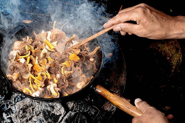 Die Pfanne zum Braten von Pilzen soll groß und richtig heiß sein. So kann das austretende Wasser verdampfen. So können die Pilze ...