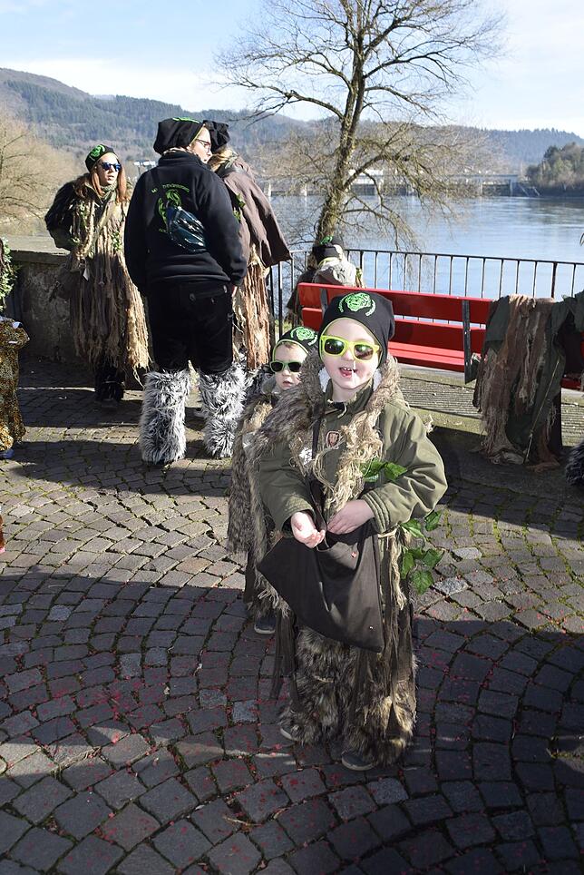 Bild 10: Bilder vom Narresamstig in Bad Säckingen