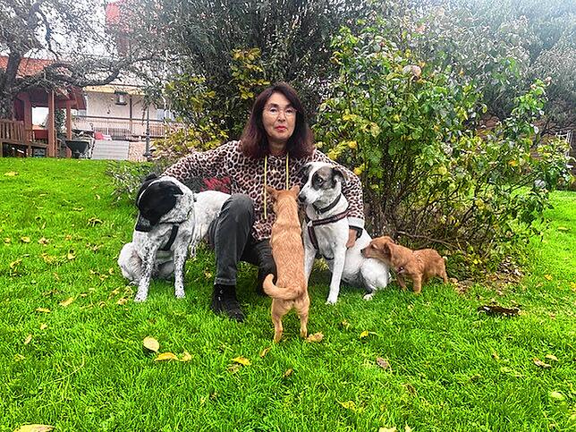 Barbara Boettcher kümmert sich mit vier ehrenamtlichen Helfern um die Hunde aus Rumänien.