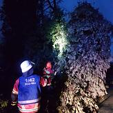 Mehrfach mussten Feuerwehrleute in der Nacht ausrücken um Schäden zu beseitigen, die das Sturmtief Petra im Hegau angerichtet hat.