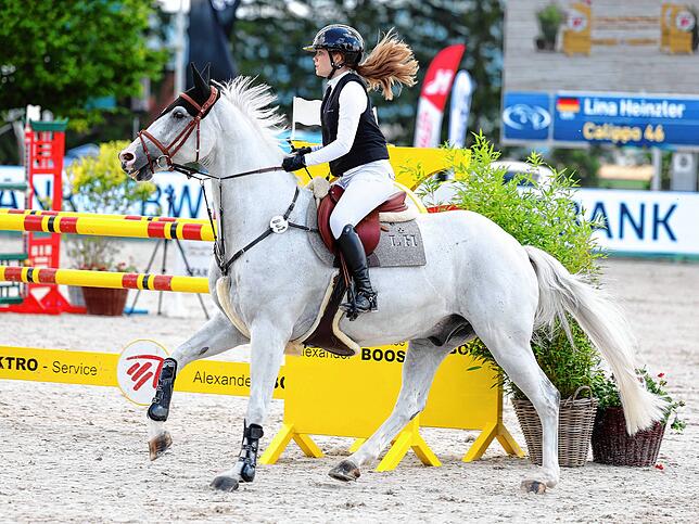 Bild 10: Reitsport pur beim Fest der Pferde am Freitag