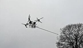 Bild : Kampf gegen den Fischjäger! Mit Hightech-Drohnen gegen den Kormoran am Bodensee – was steckt dahinter?