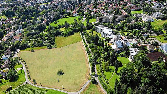 Um diese Wiese bei Sankt Leonhard geht es, vor allem um den unteren, mit Bäumen bewachsenen Bereich, sowie entlang Rauensteinstraße Ost.