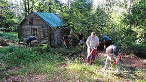 In einem ersten Arbeitseinsatz wird der Platz um die Saatschulhütte herum von Gestrüpp und Bewuchs befreit. Die freigeräumte Fläche ...