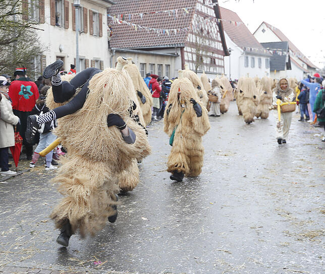 Bild 13: Bilder zum großen Narrentreffen in Pfohren (4)