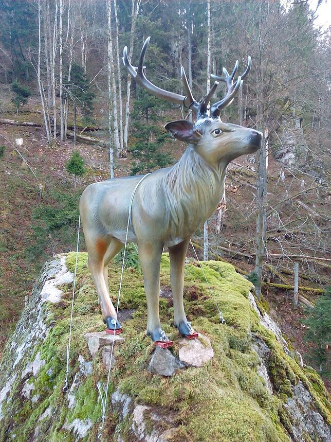 Der Hirsch im Wehratal.