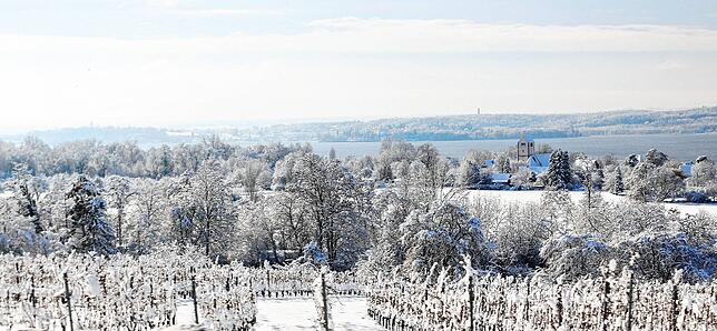 Bild 13: Das kommt so bald nicht wieder: Neue Bilder aus dem Winterwunderland rund um Überlingen und Salem
