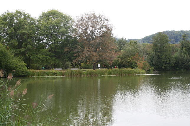 Bild 9: Ein Blick in den Freizeitpark Grütt in Lörrach