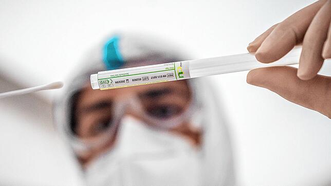 Ein Mitglied des medizinischen Personals steckt ein Wattestäbchen nach einem PCR-Abstrich zum Test auf Covid-19 in ein Röhrchen ...