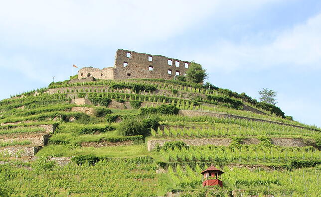 Blick auf die Burg Hohenstaufen.