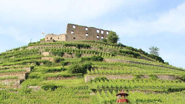 Blick auf die Burg Hohenstaufen.