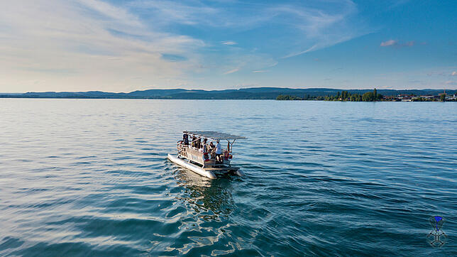 Bild 4: Linien, Abfahrtszeiten, Fahrpreise: Diese Schiffslinien fahren auf dem Bodensee