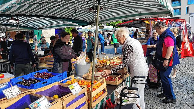 Im Juli präsentiert sich die regionale Vielfalt an Obst besonders leicker, hier am Stand von Obstbau Fröhlich.