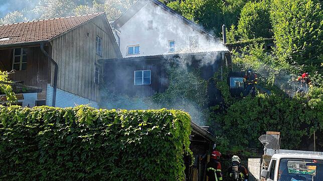 Weill ein Mann ein Wespennest abbrennen will, fackelt er fast einen Holzschopf ab. Die Feuerwehr löscht den Brand und verhindert ...