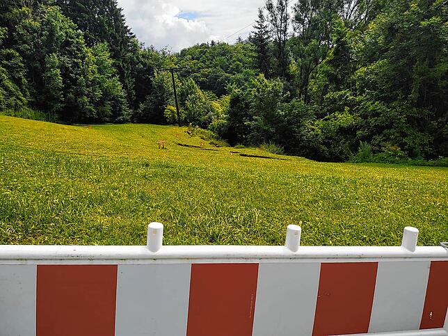 Bild 5: Bilder vom Hangrutsch, der die L194 zwischen Kalkofen und Mahlspüren im Tal bedroht