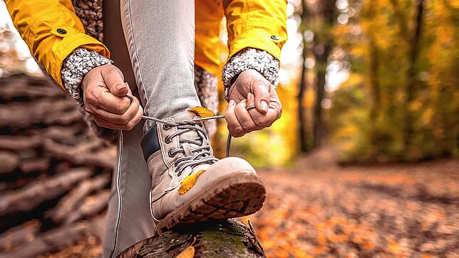 Die Wandersaison 2025 ist gestartet, viele interessante Touren stehen auf dem Programm. Foto:  encierro/stock.adobe.com