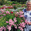 In neuer Blüte und Pracht steht der historische Rosengarten zu seinem 80.&nbsp;Geburtstag. Renate Neumann-Schäfer und den Rosenfreunden ...