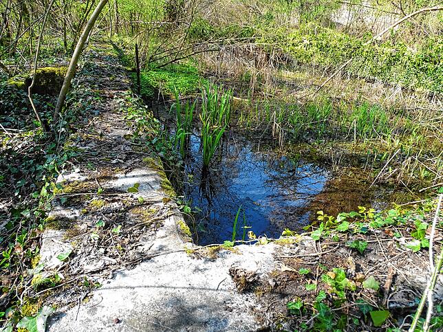 Die Reste des alten Schwimmbeckens sind gut erkennbar. Wasser ist noch immer drin, aber baden will hier wohl niemand mehr.