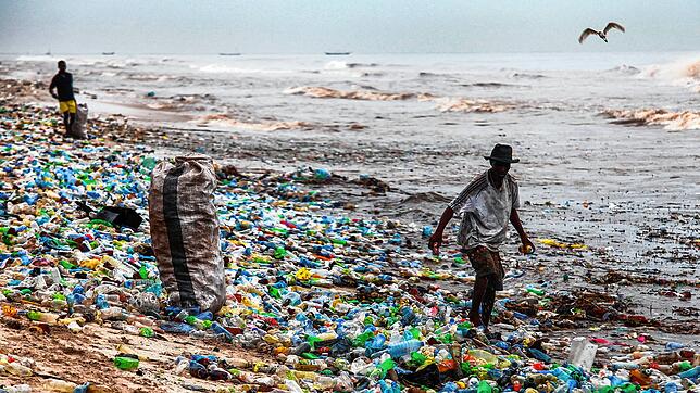 Plastikabfall vermüllt die ganze Welt. Warum wird so häufig Plastik verwendxet? Und gibt es denn Alternativen?