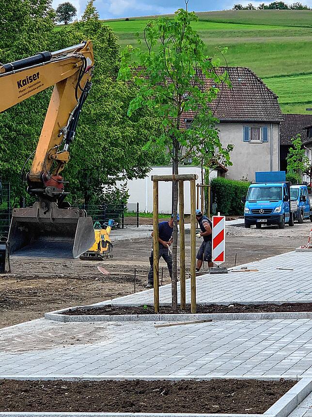 Die Parkbuchten sind bereits fertig gestellt und erste Bäume wurden auch schon gepflanzt.
