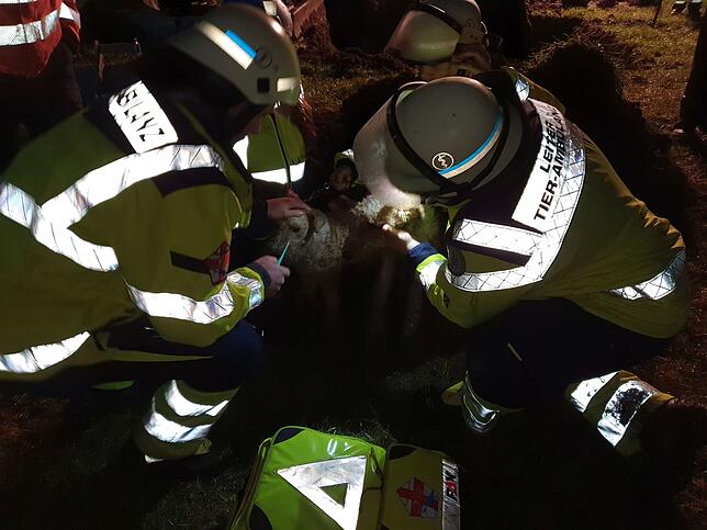 Intensiv arbeiteten die Feuerwehrleute am Heiligen Abend an der Rettung zweier Hunde, die in einem Drainagerohr eingeschlossen waren.