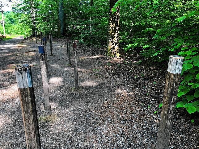 Bild 5: Wandern vor der Haustür (Teil 4): Durch den Bürgerwald zum Küssaberger Rheinufer