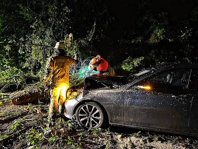 Bäume stürzen beim Unwetter in Tuttlingen auf Autos.