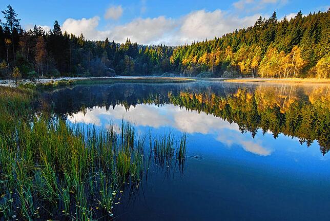 Der Windgfällweiher