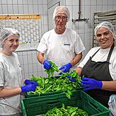 Der Chef legt selbst Hand an. Das Bild zeigt Markus Bruderhofer mit den Mitarbeiterinnen Emma Klein (links) und Susana Reis Pirisi beim ...