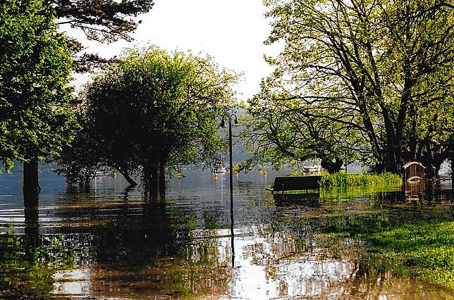 Bild 13: Gedächtnis der Region: Bilder vom Hochwasser 1999 in Bodman-Ludwigshafen