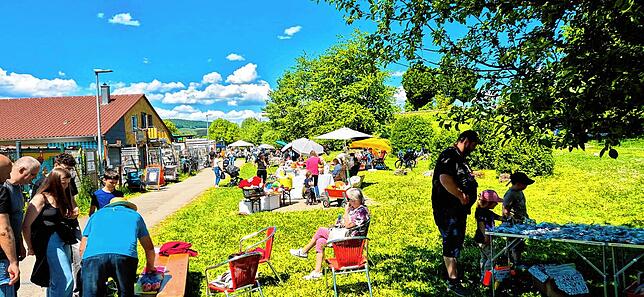 Bild 4: Bunte Bilder vom Familientag im Abenteuerland im Hochrhein