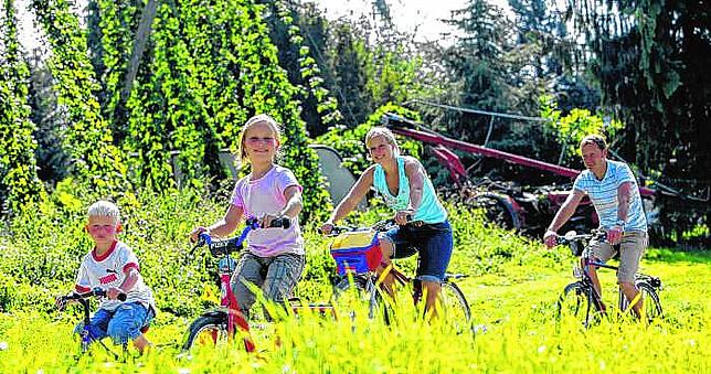 Beeindruckend für die kleinen und großen Radfahrer sind in der Gegend um Tettnang die bis zu acht Meter hoch rankenden Hopfengärten, und ...